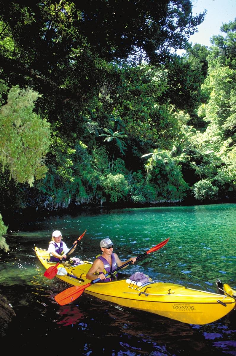 Kayak Queen Charlotte Sound