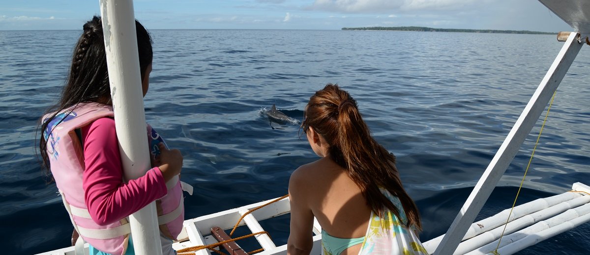 Dolphin watching in Sogod Bay